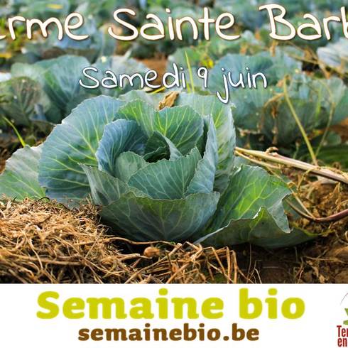 Ferme Sainte Barbe - Bio