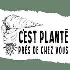 vivredeboutfilm_cest_plante_pres_de_chez_vous.jpg