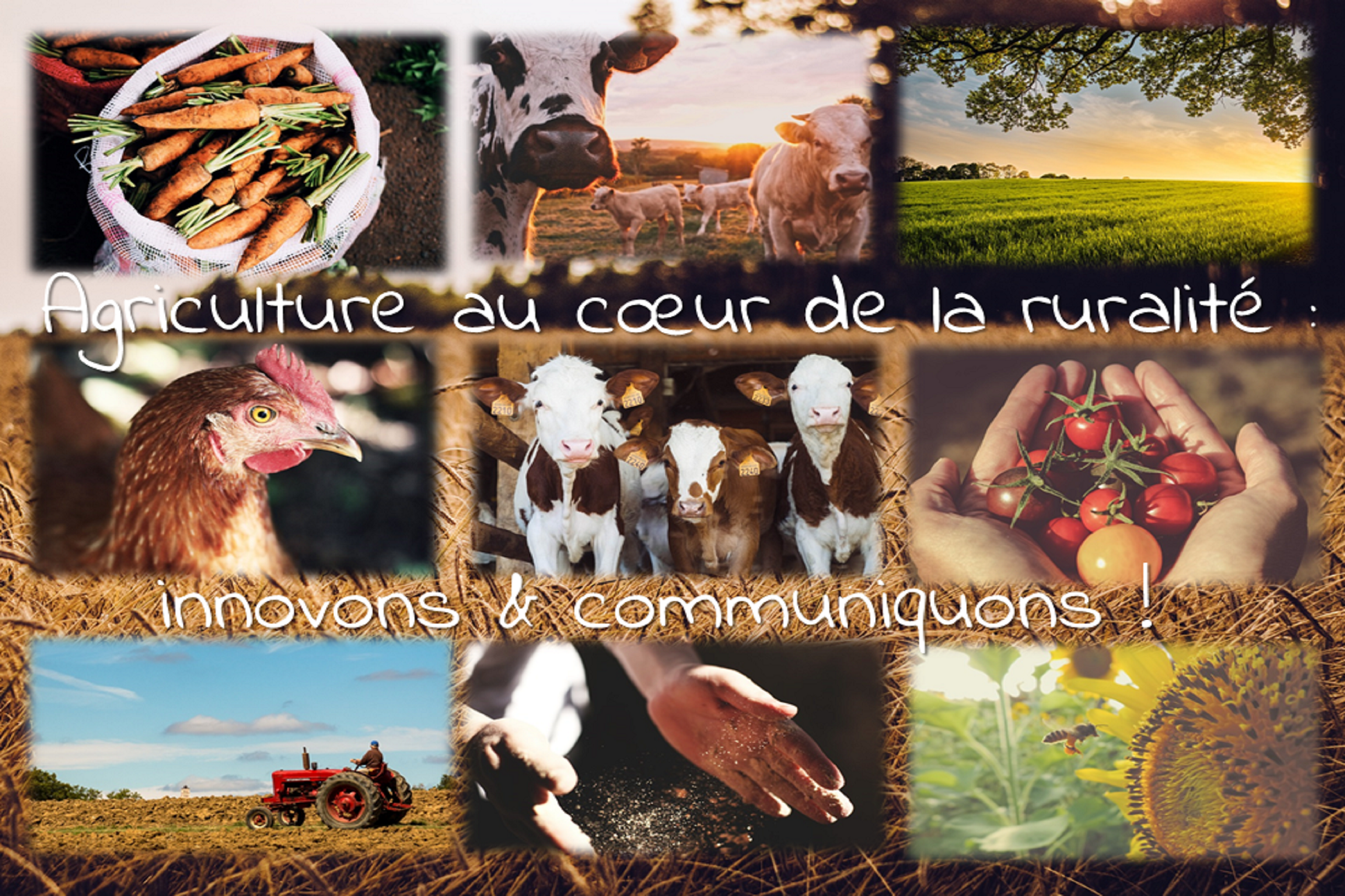 image 0__Diversit_agricultures.png (5.8MB)
Lien vers: AgricultureS